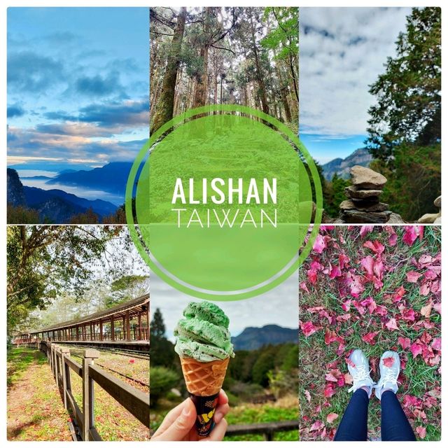 ให้ธรรมชาติโอบกอด @ Alishan ไต้หวัน