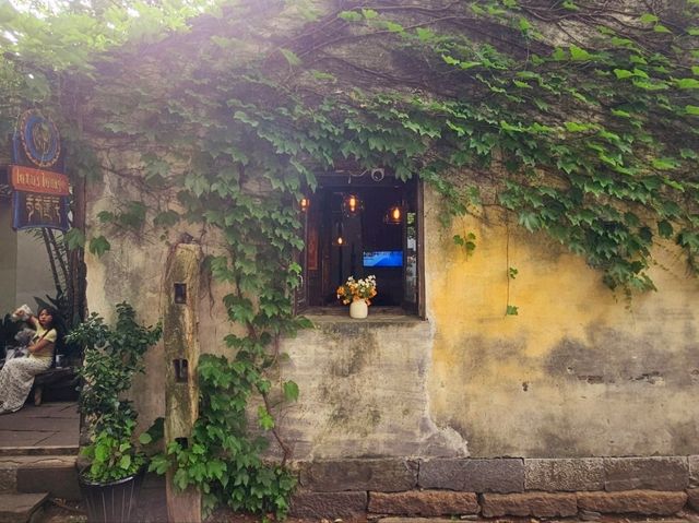 I refused to leave after visiting such a beautiful ancient town, Wuzhen