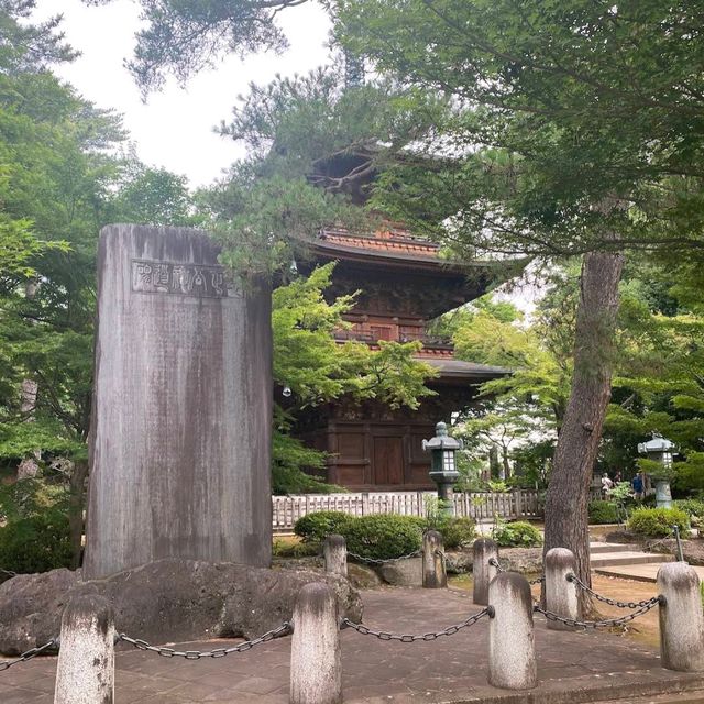 Gotokuji Temple (Setagaya)