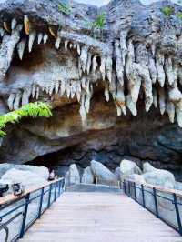 🌳🐒 “Step into the Wild!” – Asian Rainforest Adventure Singapore 