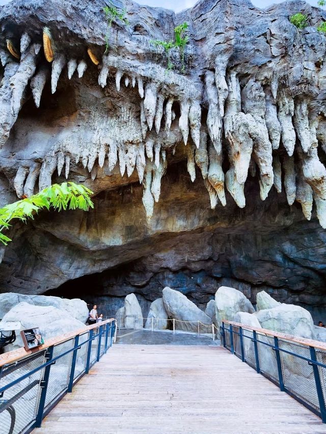 🌳🐒 “Step into the Wild!” – Asian Rainforest Adventure Singapore 
