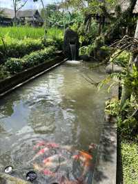 Cute restaurant in Ubud