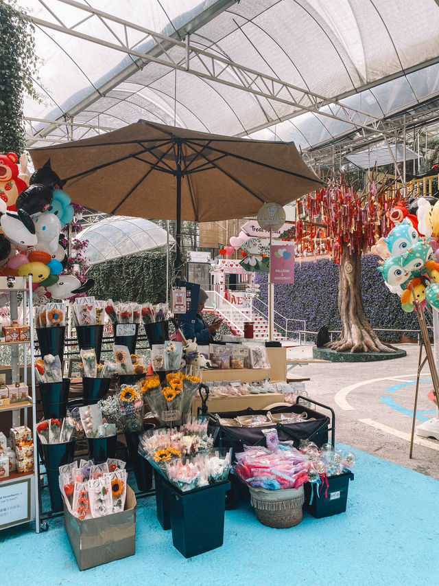 A Bloom Lover’s Paradise: Agro Market Cameron Highlands🌸