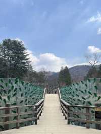 🌿 Nami Island ~ Where Nature Feels Like a Poem 🍂