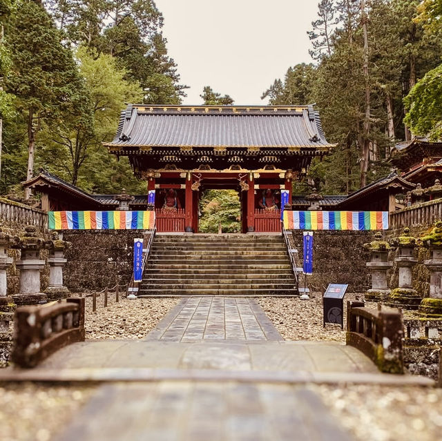 Twin Treasures of Nikko: A Summer Pilgrimage to Futarasan & Toshogu Shrines