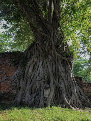 【อยุธยา】สัมผัสประวัติศาสตร์ไทยในหนึ่งวัน