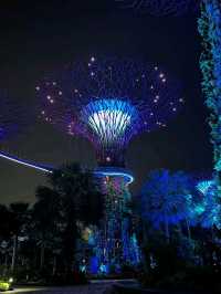 Neon Trees, Gardens by the Bay at Night