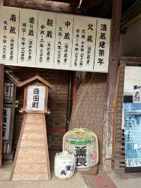 九州行程 阿蘇火山國家公園 草千里公園