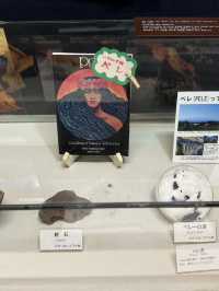 🌋 阿蘇火山博物館 — 地球の鼓動を感じる火山体験ミュージアム