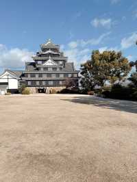 遊岡山城🏯飽覽市景🤩！ 