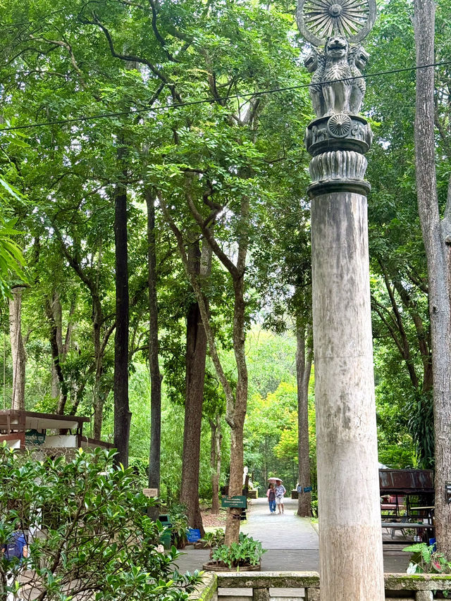 Into the Forest Temple: Discover Peace at Wat Umong