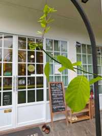 คาเฟ่ร้านอาหาร  จ.เลย ขากลับจากงานผีตาโขน