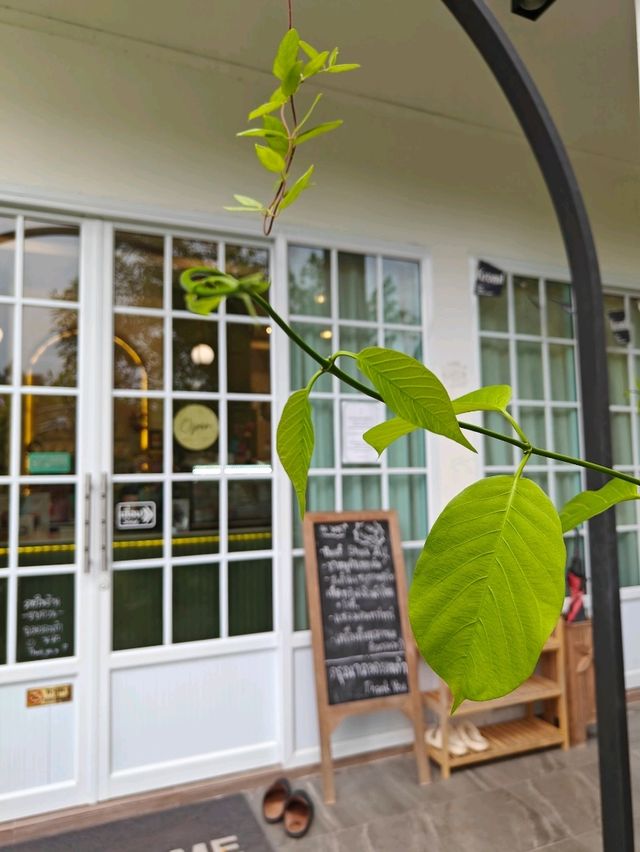 คาเฟ่ร้านอาหาร  จ.เลย ขากลับจากงานผีตาโขน