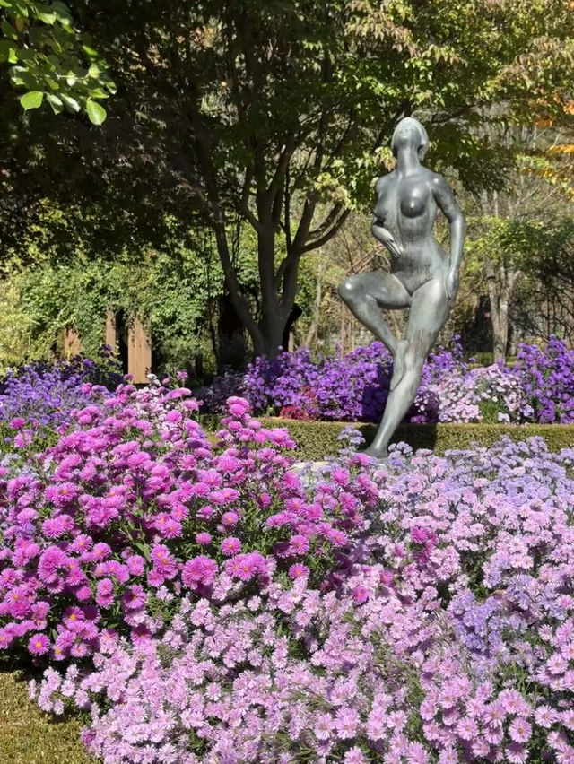 🇰🇷 Seoul Day Trip: Jade Garden, Chuncheon – Your Outdoor Oxygen Oasis! 🌿🌸