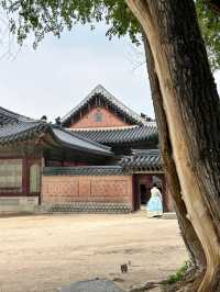 Beneath the Eaves of Heaven: Discover Gyeongbokgung