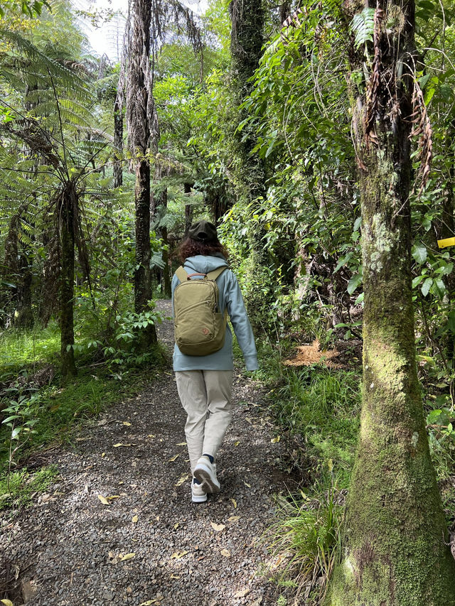 紐西蘭小眾景點—💦 Hunua Falls｜奧克蘭南方的森林秘境瀑布