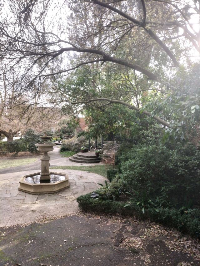 🪴The Beautiful Garden🪴