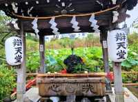 Peaceful Strolls at Ueno Park – A Calm Corner in Tokyo