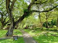 A green sanctuary in the city 🌆 👫😎❤️