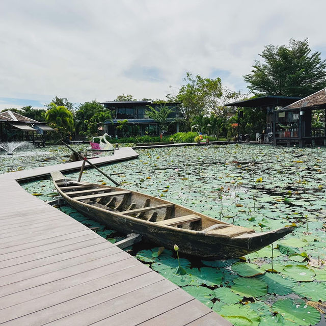 🌿☕ ดูดดื่ม คาเฟ่ นครชัยศรี คาเฟ่ริมบึงบัวขนาดใหญ่