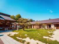 Summer Day at Ōarai Isosaki Shrine: A Breathtaking Oceanfront Escape