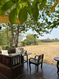 BAAN MA-KWID สุโขทัย