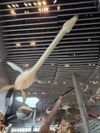 Shanghai Natural History Museum