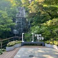사람과 자연이 교감할 수 있는 곳, 경기 광주 화담숲 🌿