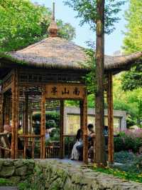 People’s Park 🌺 