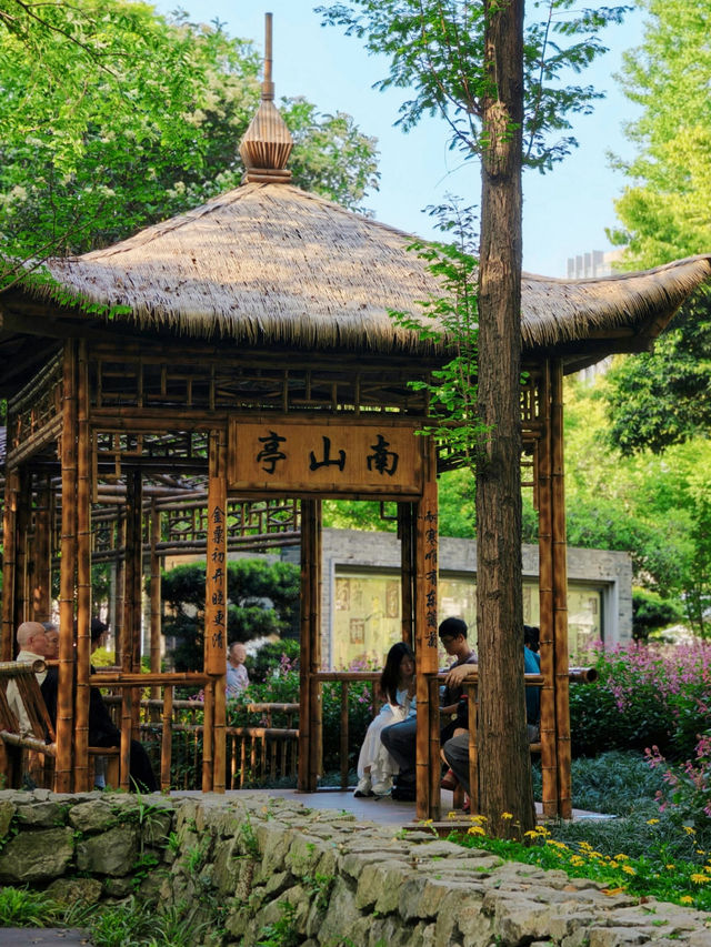 People’s Park 🌺 