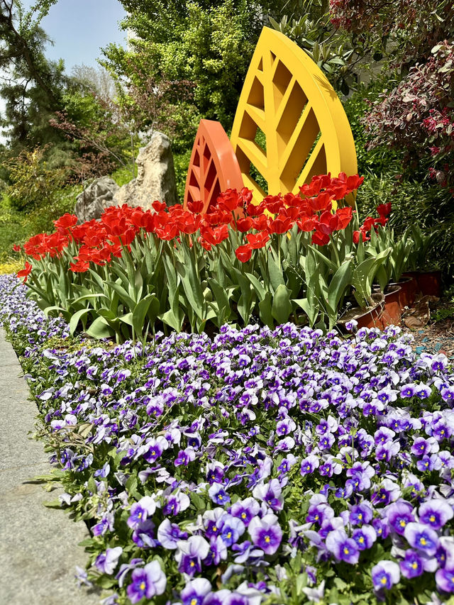 Blossoms Beyond the Gate: A Hidden Floral World in Zhengzho