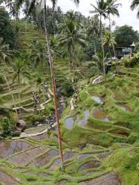 Affordable Bali Trip: 5 Days, Private Supir & Stunning Views