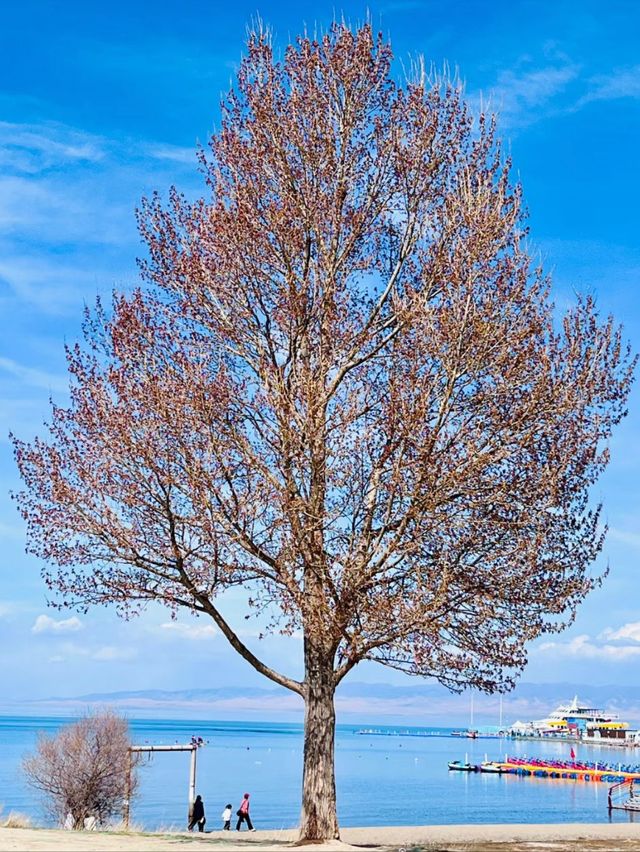 China’s Blue Mirror: Discovering Qinghai Lake
