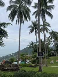🌴 รีวิว The Jungle Club Samui