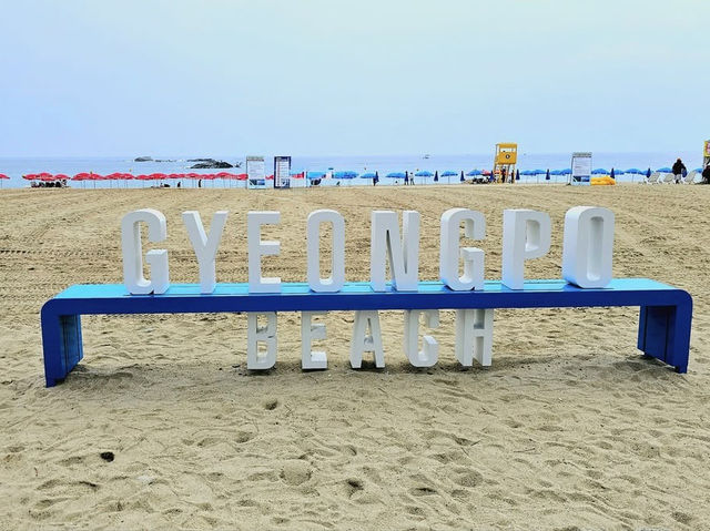 Gyeongpo Beach: A Solo Traveler’s Serene Escape on Gangwon’s Coast"** 🌊🏖️