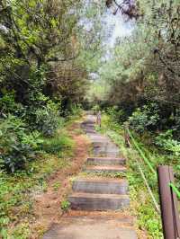 A Picturesque Hike Through Jeju's Volcanic Landscape