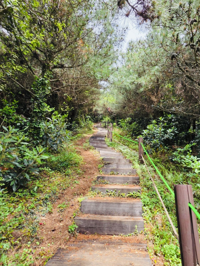 A Picturesque Hike Through Jeju's Volcanic Landscape
