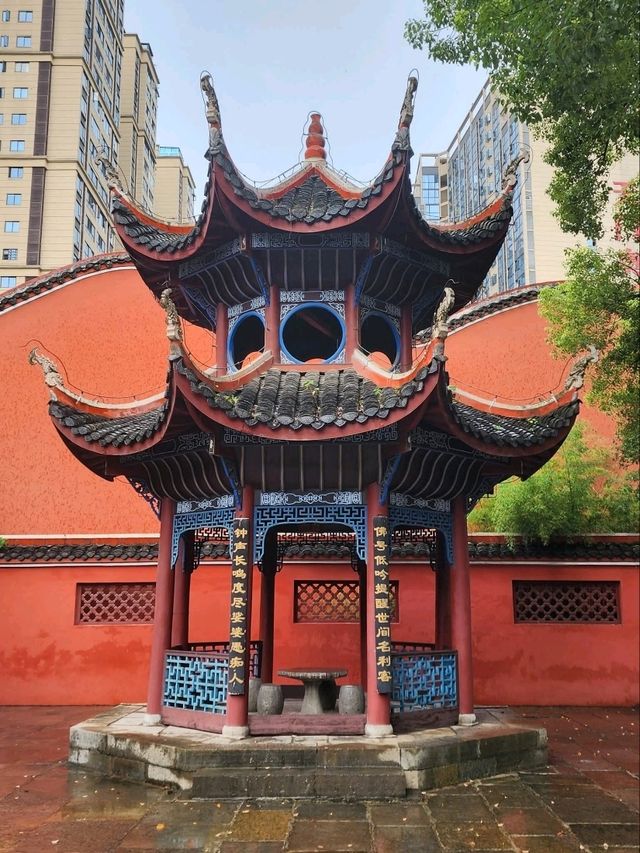 “The Painted Eaves Sanctuary”