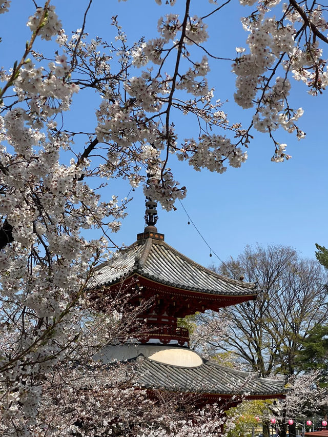 🎐 Step Back in Time: Kawagoe Day Trip Under RM100!