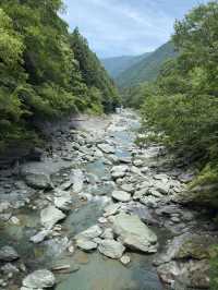 四國｜德島｜祖谷蔓橋｜一步一驚心的秘境冒險 🌿🌉