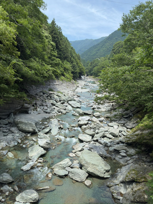 四國｜德島｜祖谷蔓橋｜一步一驚心的秘境冒險 🌿🌉