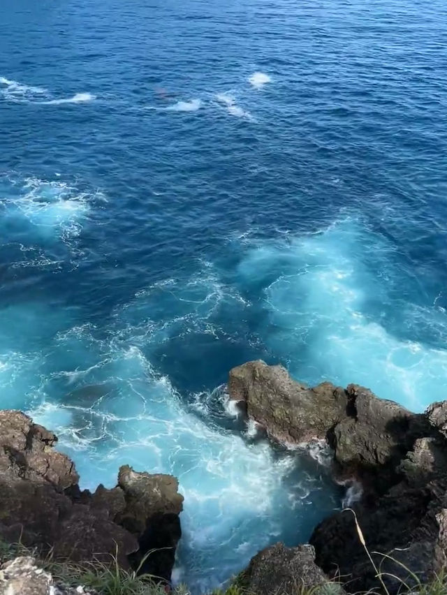🏝️ Izu 1-Day Getaway Under RM80 – Coastal Views & Onsen Feels!