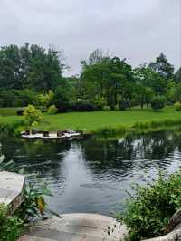 Prince Bay Park After Rain – Hangzhou’s Misty Wonderland