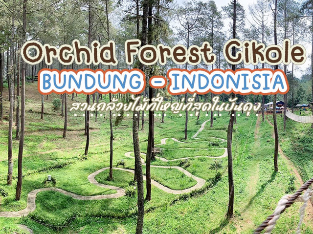 Orchid Forest Cikole