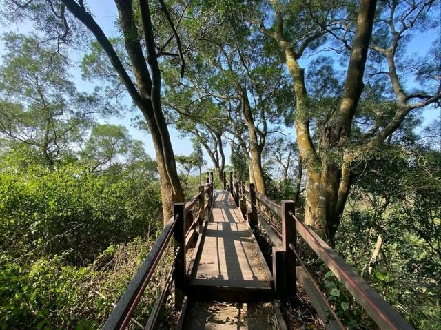 Exploring Juxing Mountain