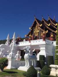 อุทยานหลวงราชพฤกษ์ @เชียงใหม่