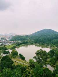 Walking Above the Trees at Forest Skywalk, Kepong