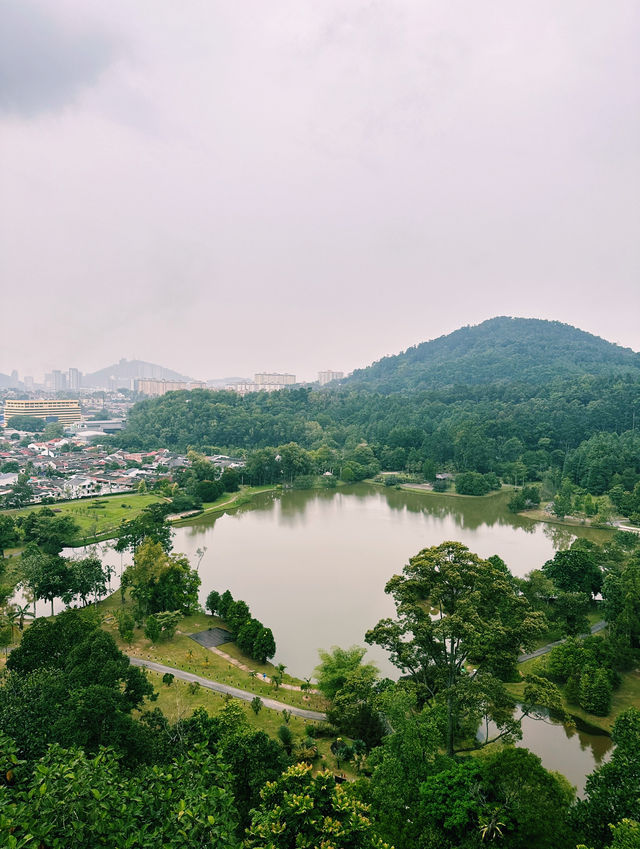 Walking Above the Trees at Forest Skywalk, Kepong