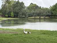 衛武營國家藝術文化中心