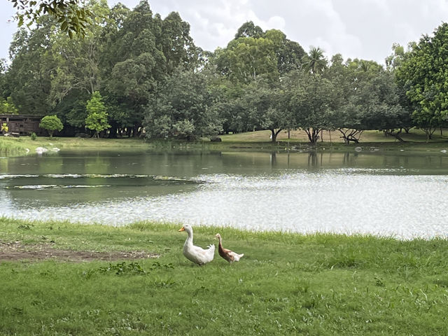 衛武營國家藝術文化中心